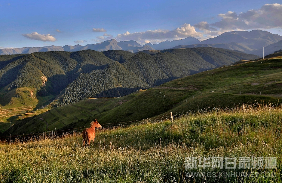 8月21日，位于甘肃省武威市天祝县旦马乡境内的祁连山天然林保护区美景如画。姜爱平 摄